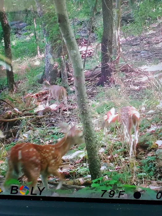 Indian Springs Park Picture 1