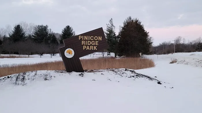 Pinicon Ridge Park Campground Picture 7