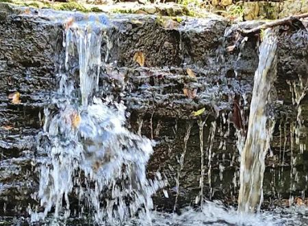 Bleudon Forest RV Resort