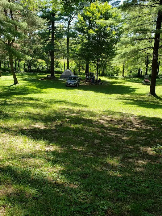 FOREST VILLA RESORT Picture 5