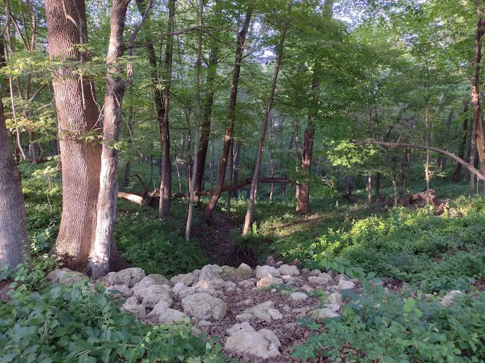 South Lake Campground Picture 10