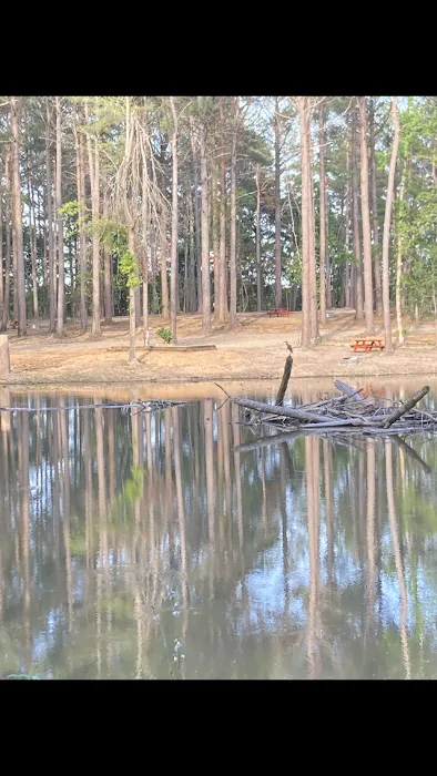 Redwood RV Park Picture 9
