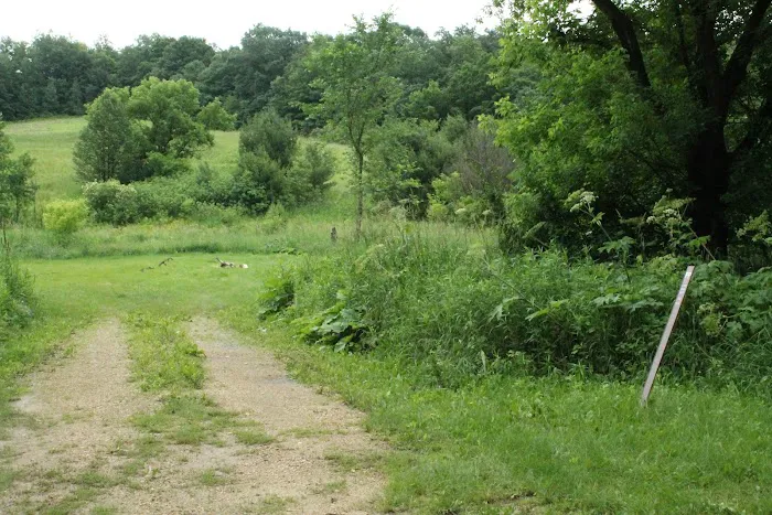 KVR Campsite PP Picture 9
