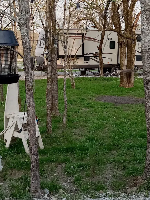 Tall Pines RV Park Picture 2
