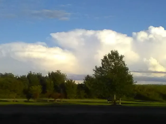 Tiny Homes RV Park Picture 1