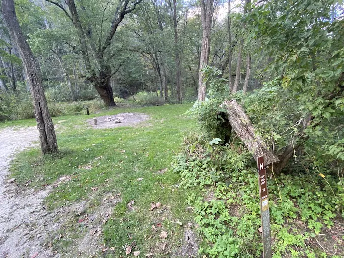 KVR Campsite N Picture 4