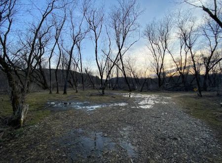 KVR Campsite OO
