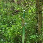 Elroy Walk-In Campground (Elroy-Sparta State Trail)