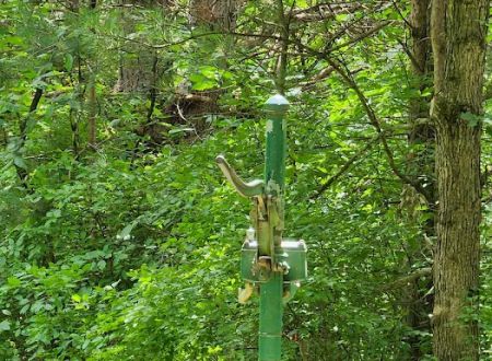 Elroy Walk-In Campground (Elroy-Sparta State Trail)