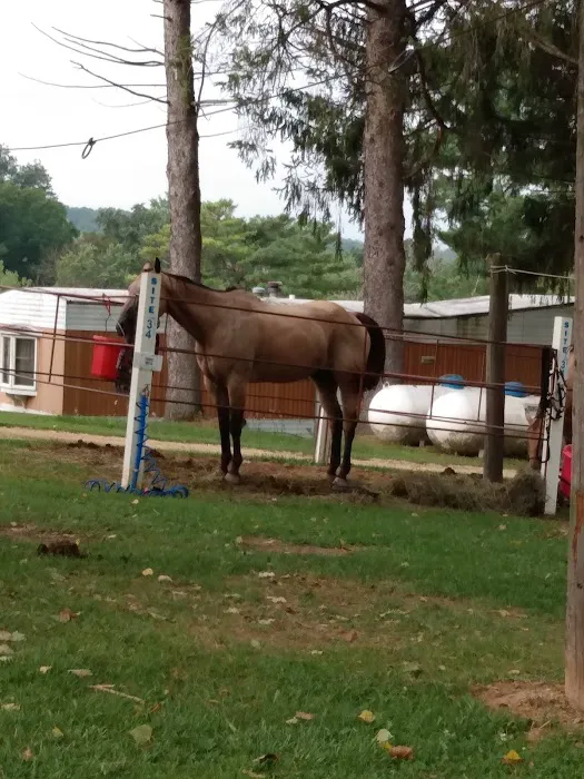End of The Trail Equine Campground Picture 4