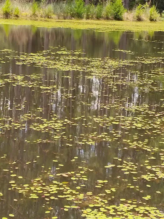 Sunroamers RV Resort Park Picture 10