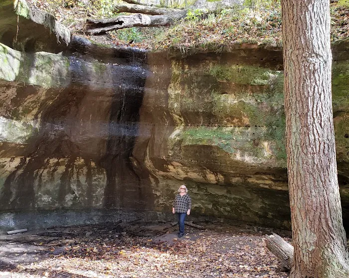 Wild Cat Mountain State Park Equestrian Campground Picture 6