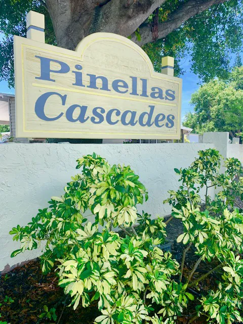 Pinellas Cascades Mobile Home Community Picture 3