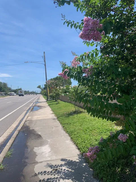 Pinellas Cascades Mobile Home Community Picture 6