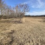 KVR Campsite T