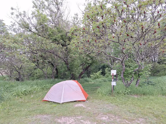 KVR Campsite T Picture 3
