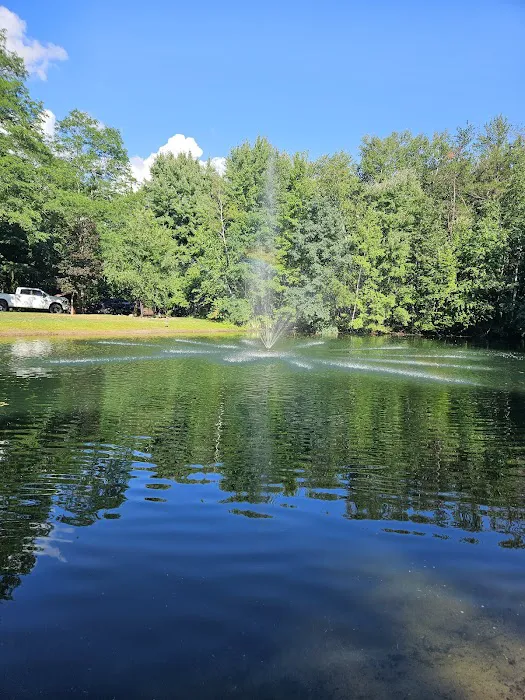 Bass Lake Campground Picture 7