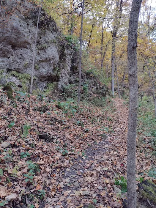 Bloody Run County Park Picture 4