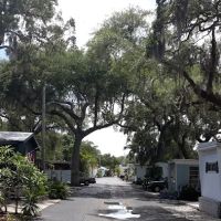 seminole mobile home park ico