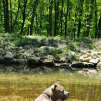 Joy Springs County Park ico