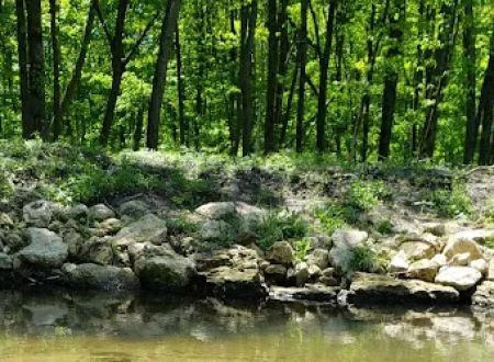 Joy Springs County Park