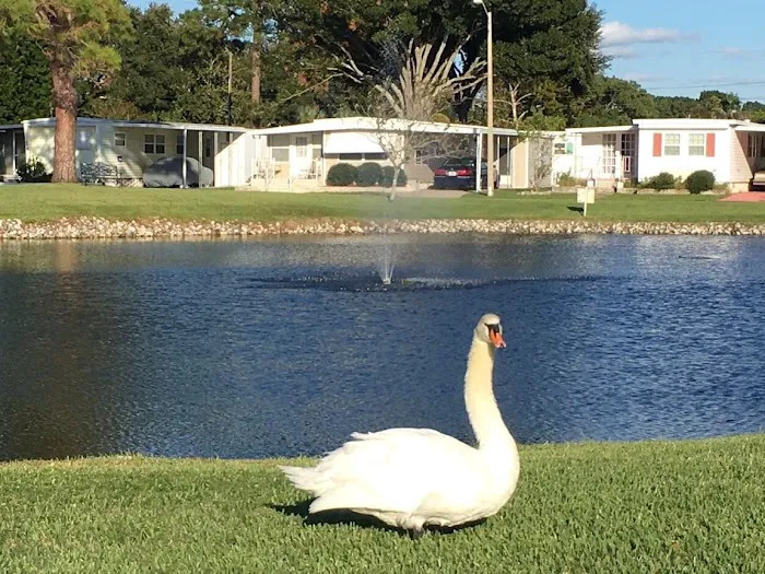 Club Chalet Mobile Home Park Resident owned Picture 8
