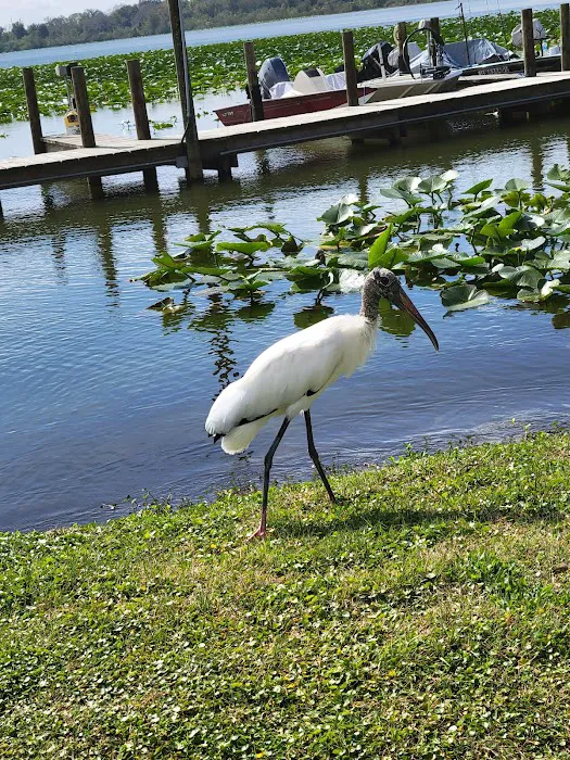 Lake Bonnet Village Picture 6