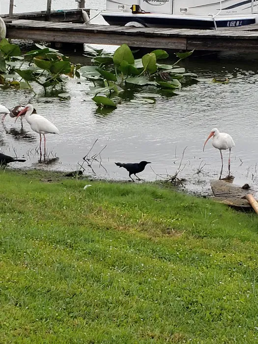 Lake Bonnet Village Picture 1