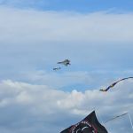 Relleumtdats Airventure Campground