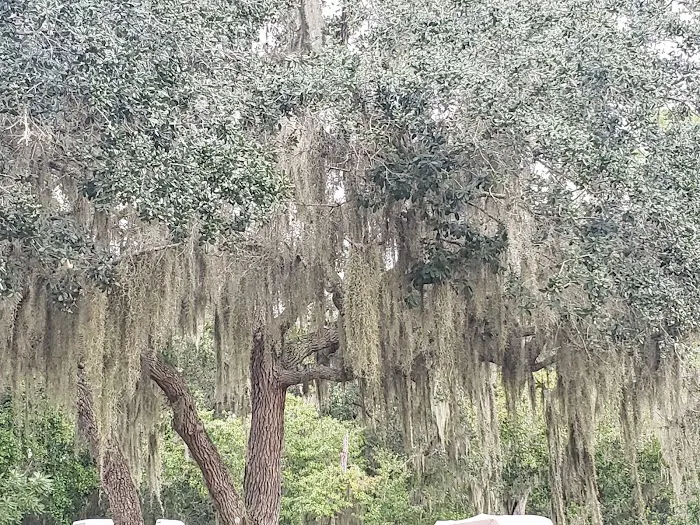 Rice Creek RV Resort Picture 6