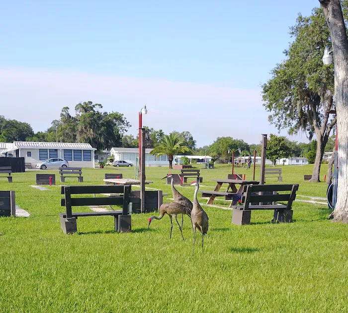 Rice Creek RV Resort Picture 10