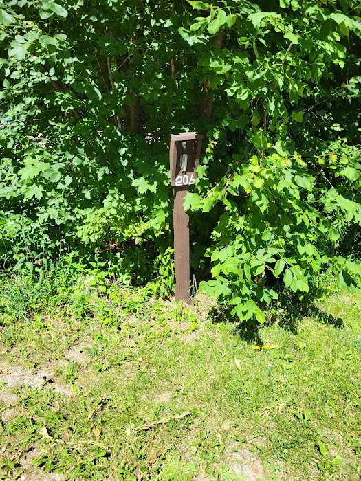 Group Campground Picture 2