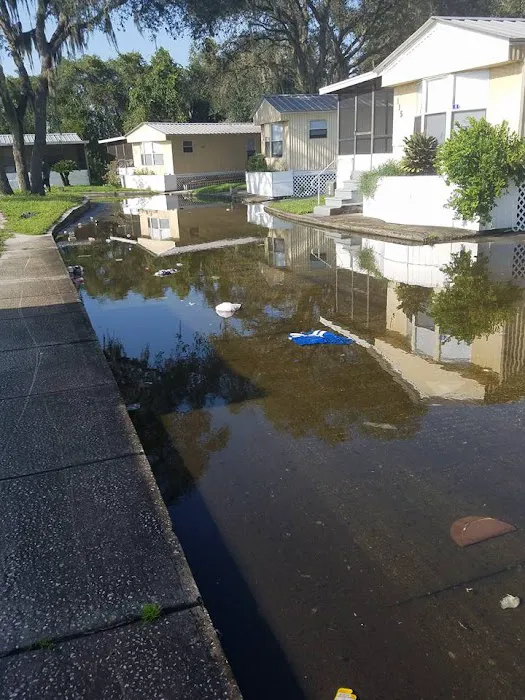 Bullfrog Creek Mobile Home Park Picture 2