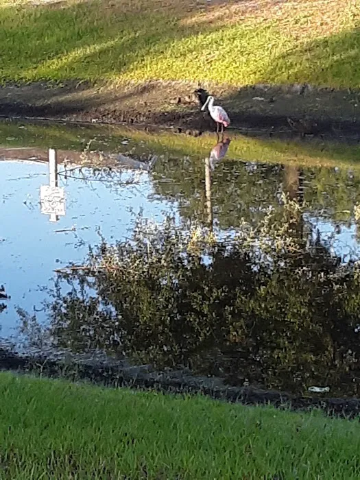 Bullfrog Creek Mobile Home Park Picture 8