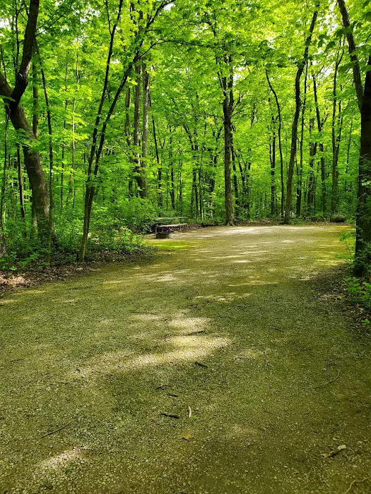 High Cliff State Park Campground Picture 7
