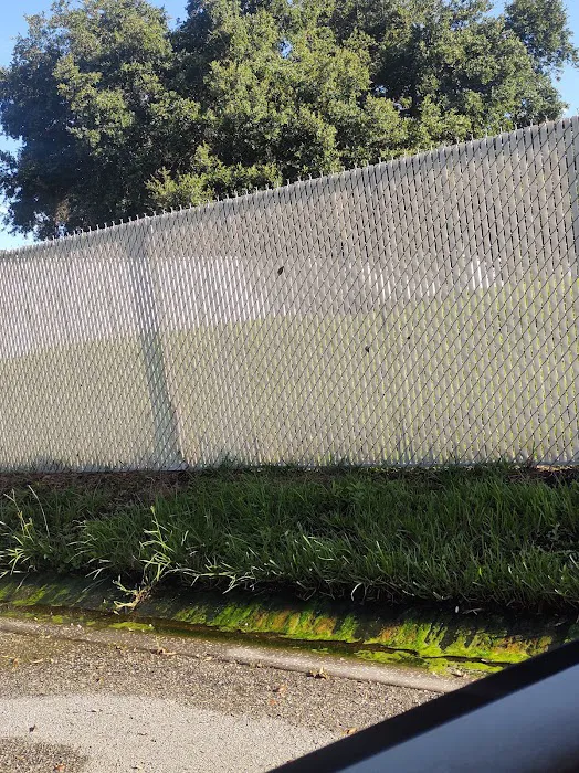 Alafia Riverfront Mobile Home Park Picture 2