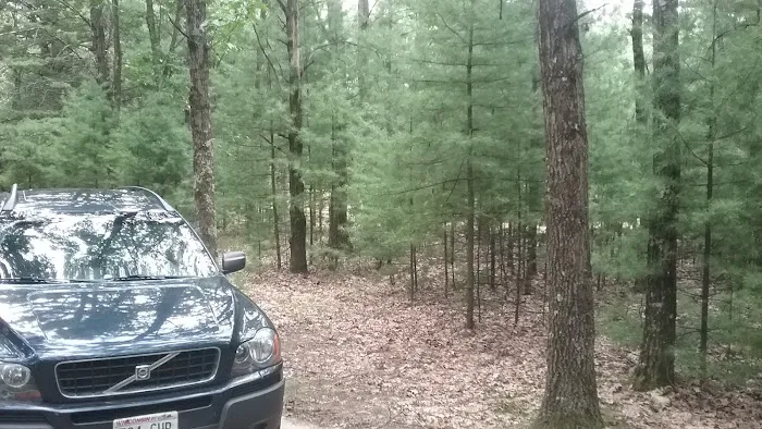 Wildwood Campground, Pine Lake Picture 10