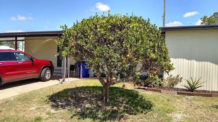Colony Point Mobile Home Park Picture 2