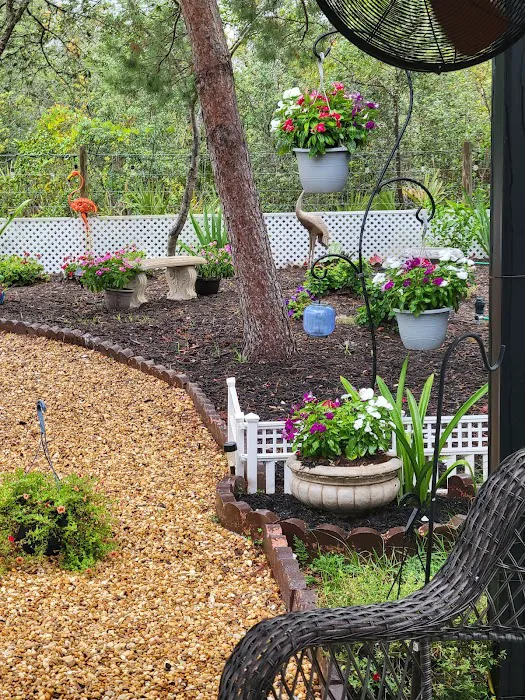 Outback RV Resort at Tanglewood Picture 9