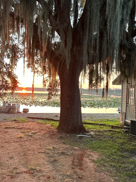 Bonnet Lake Estates Picture 6