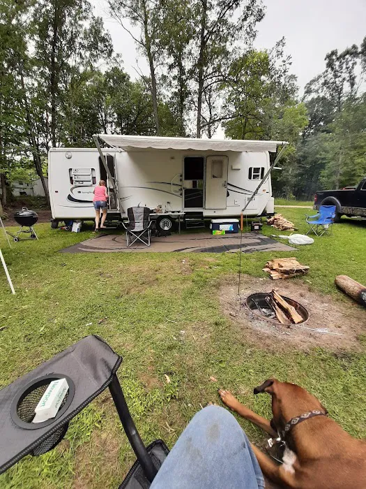 Oakwood Campsite Picture 1
