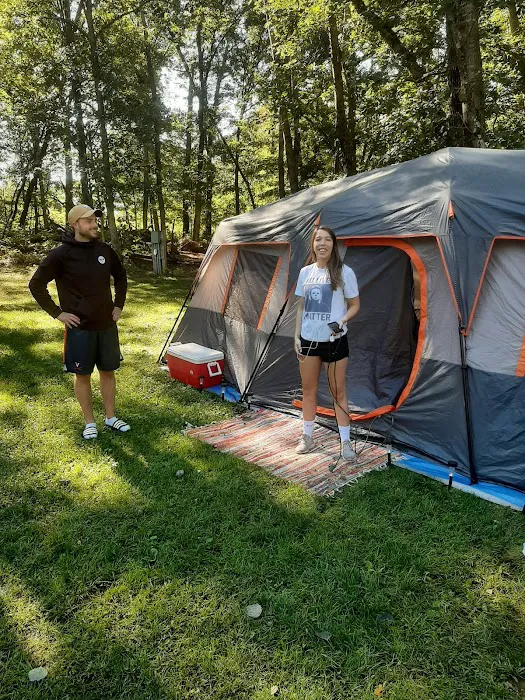 Oakwood Campsite Picture 3