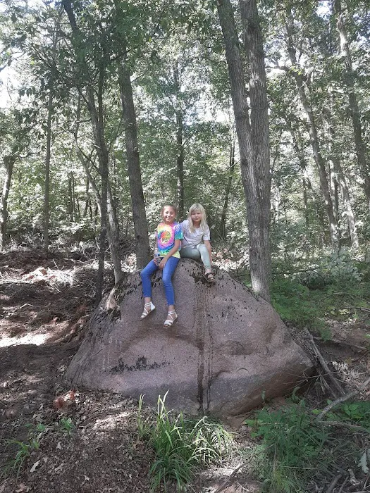 Oakwood Campsite Picture 4