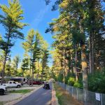 Evergreen Campsites & Resort