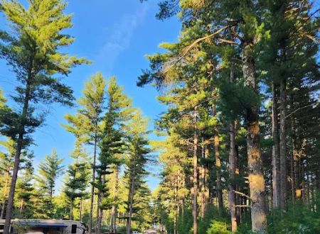 Evergreen Campsites & Resort