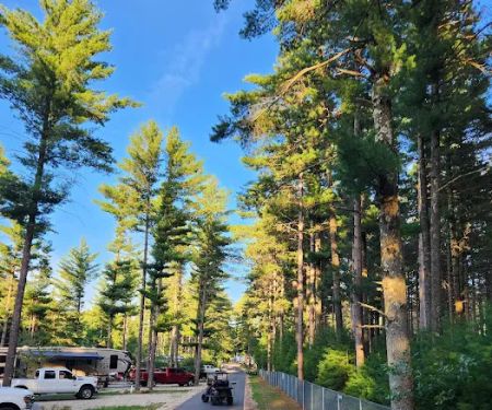Evergreen Campsites & Resort