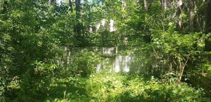 Tomorrow Wood Campground Picture 7