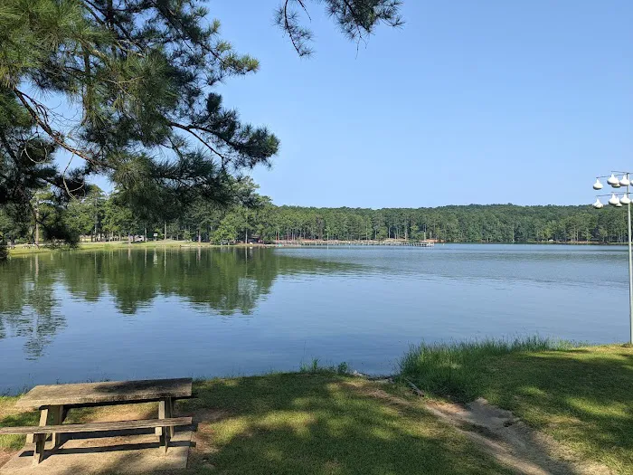 Wind Creek State Park Campground Picture 4