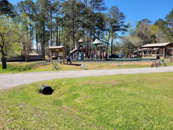 Wind Creek State Park Campground Picture 6