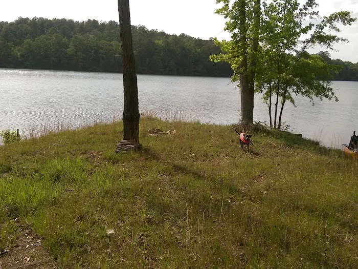 Dare Park Point Picture 9